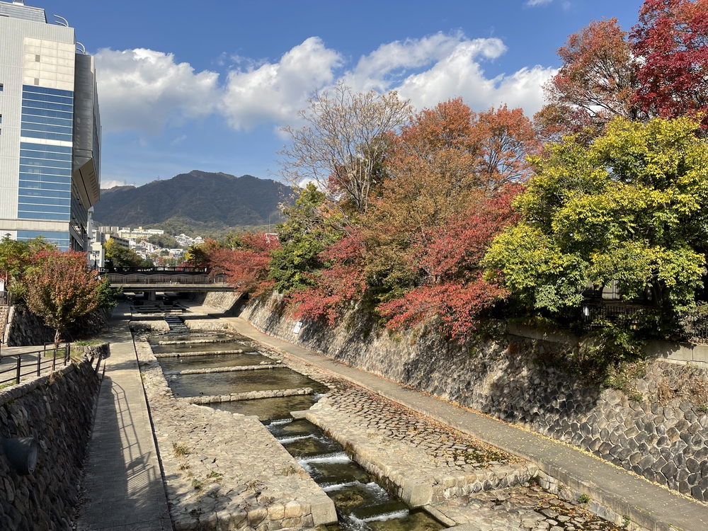 俺なりの神戸マラソンの写真9