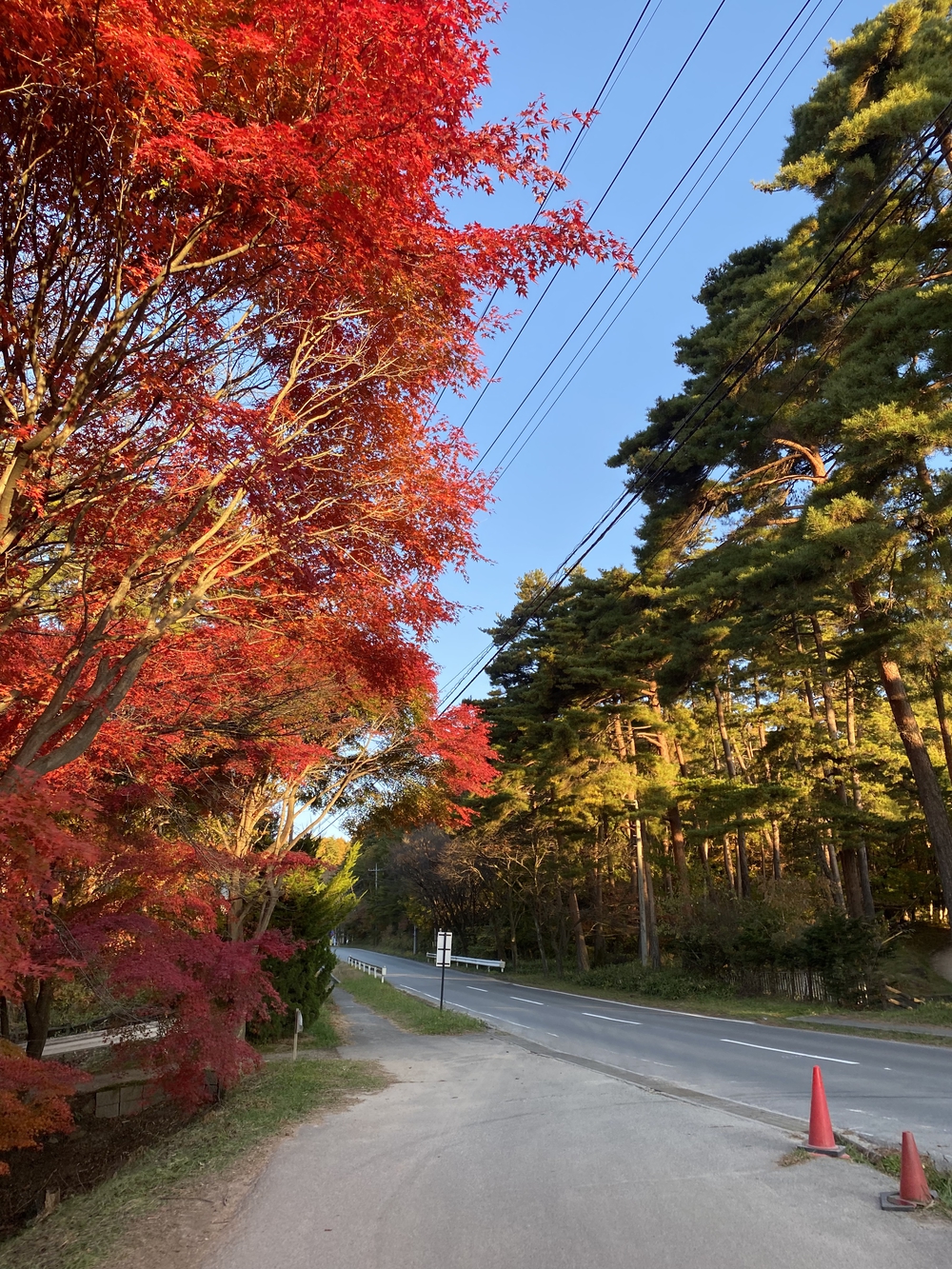 星野リゾートリゾナーレ八ヶ岳に宿泊した日の朝のランニングコースの写真3
