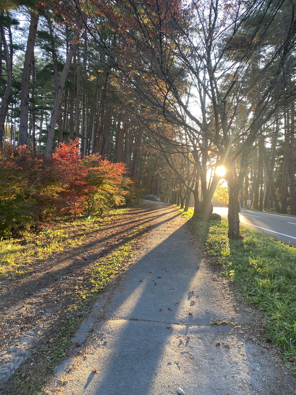 星野リゾートリゾナーレ八ヶ岳に宿泊した日の朝のランニングコースの写真5