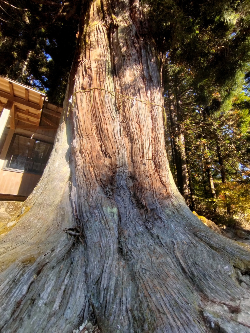 岐阜県白川町のナイスな峠道の写真4