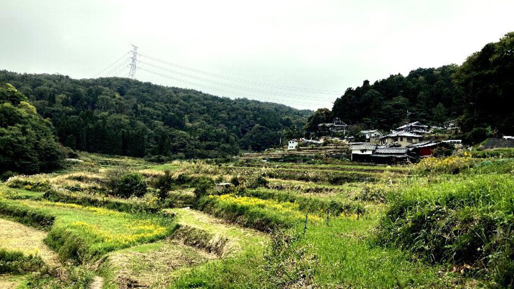 シルクロードの終着駅の写真27