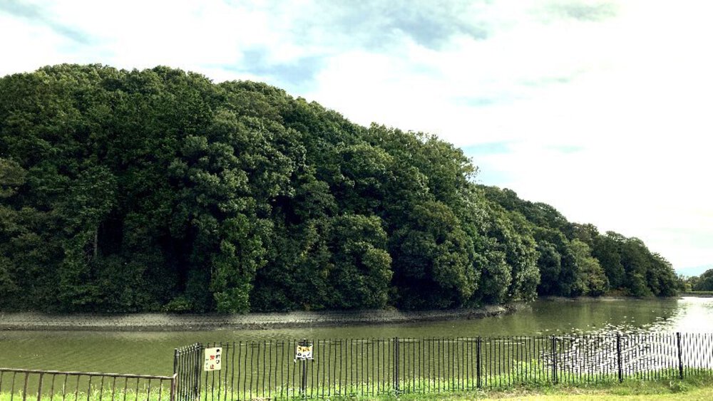 シルクロードの終着駅の写真31