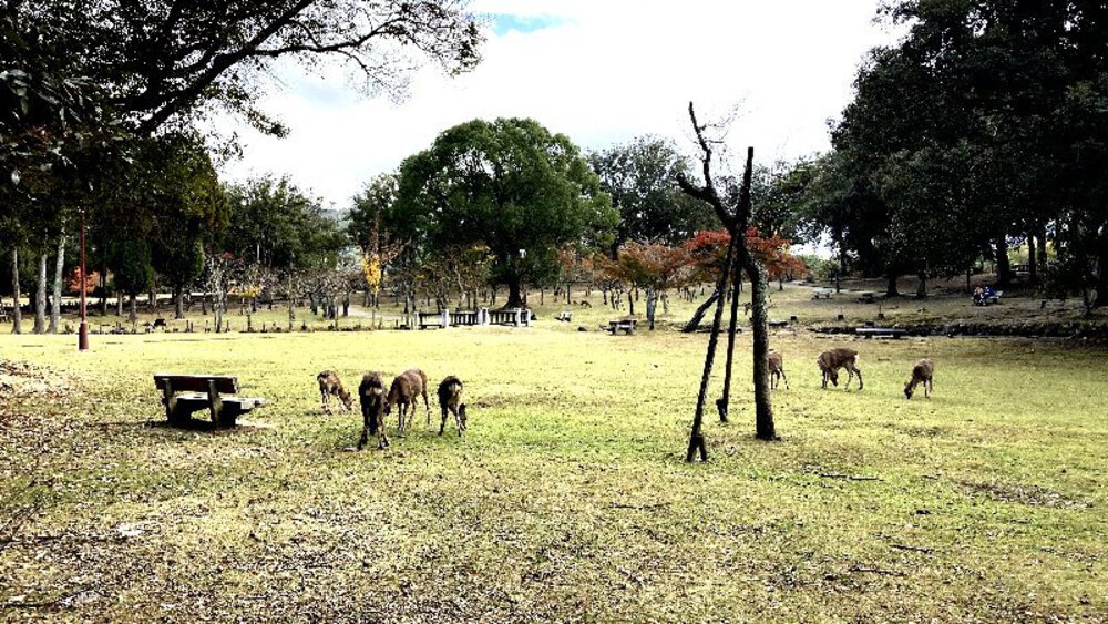 シルクロードの終着駅の写真36