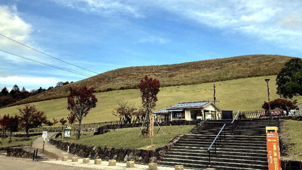 シルクロードの終着駅の写真38