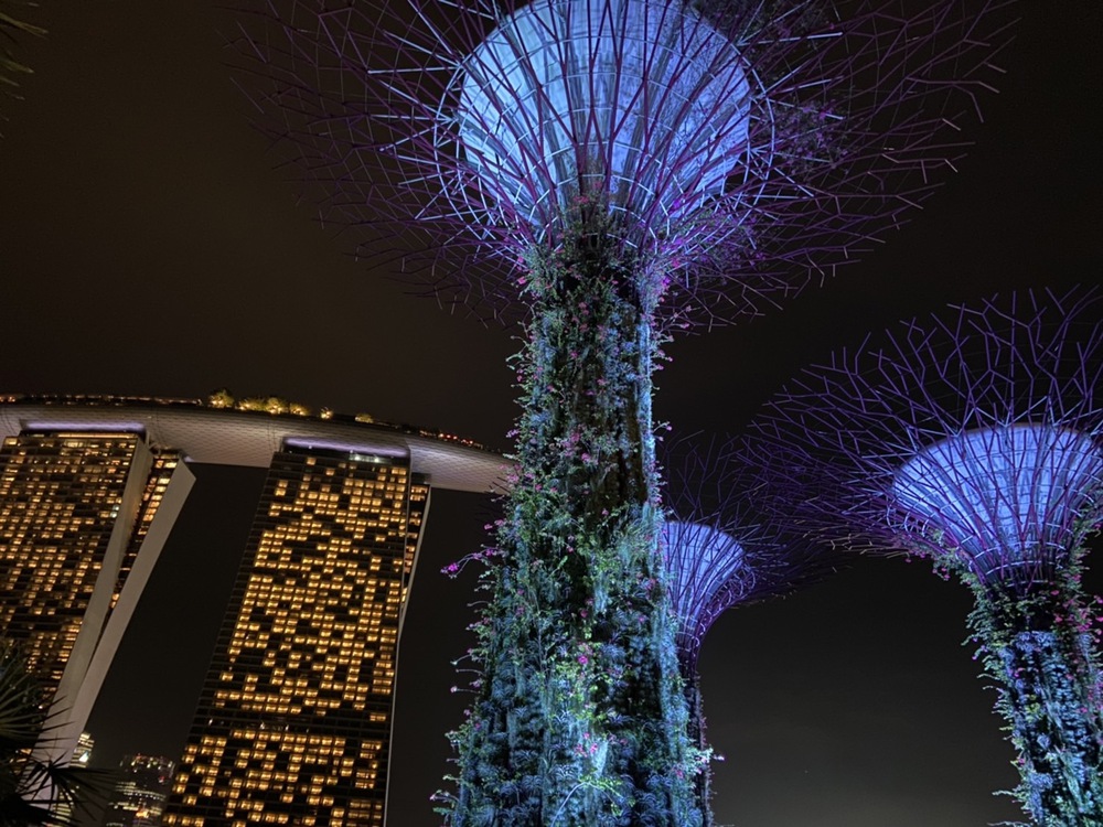 禁断の丘からある意味禁断の丘までの写真5