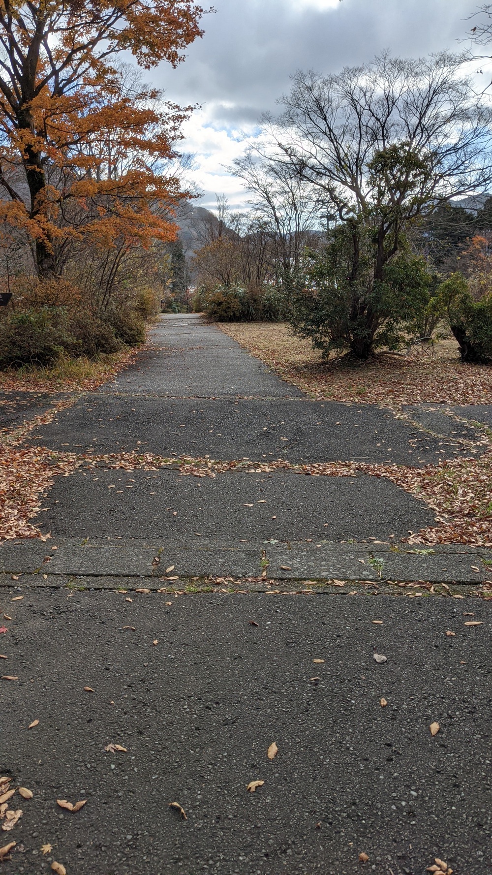 箱根芦ノ湖一周走（桃源台ホテルスタート）の写真4