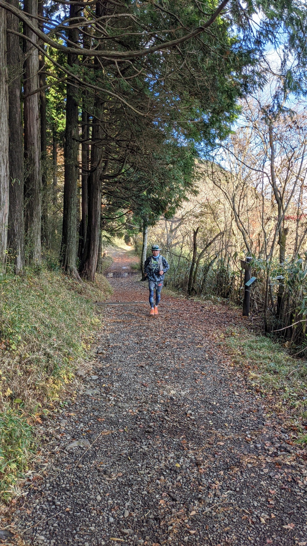 箱根芦ノ湖一周走（桃源台ホテルスタート）の写真10