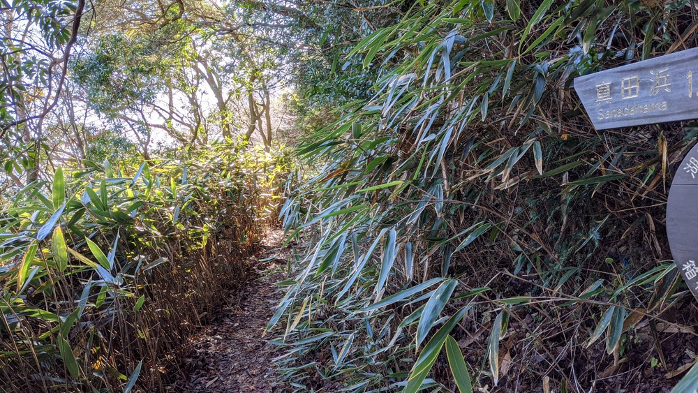 箱根芦ノ湖一周走（桃源台ホテルスタート）の写真13
