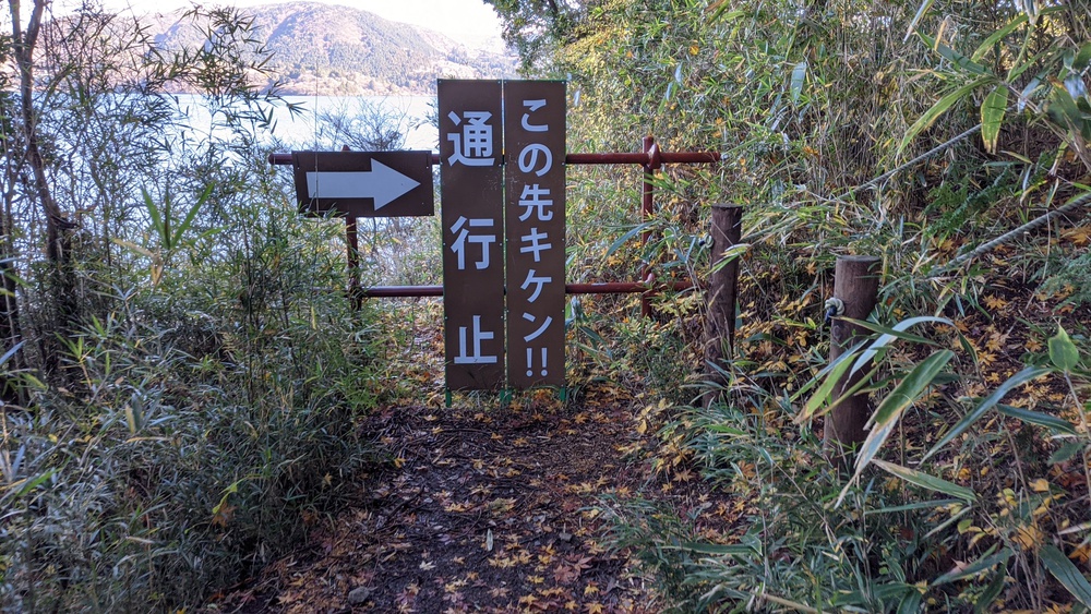 箱根芦ノ湖一周走（桃源台ホテルスタート）の写真17