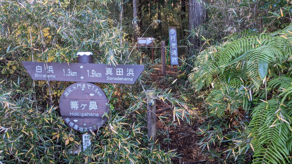 箱根芦ノ湖一周走（桃源台ホテルスタート）の写真18