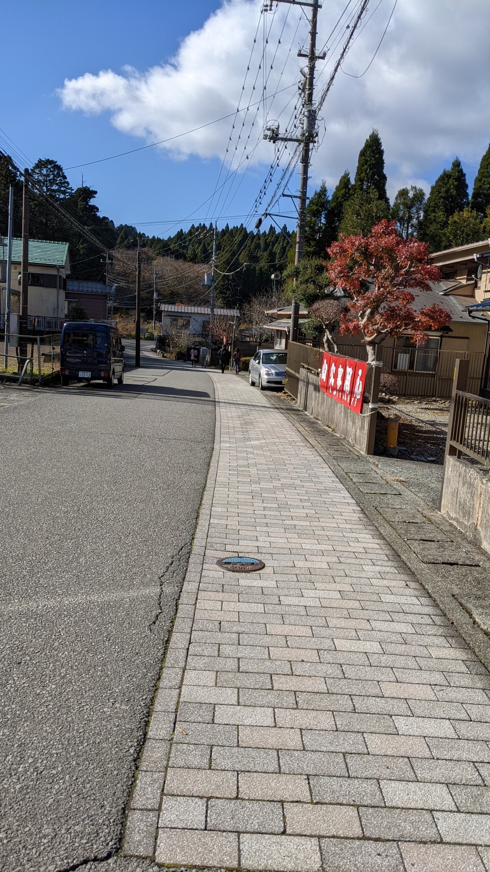 箱根芦ノ湖一周走（桃源台ホテルスタート）の写真22