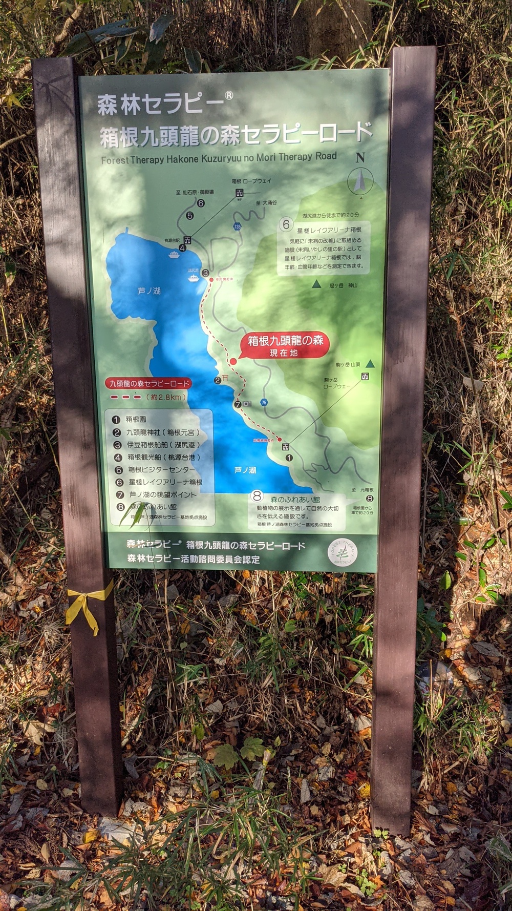 箱根芦ノ湖一周走（桃源台ホテルスタート）の写真27