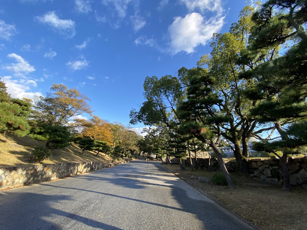 広島ラン（出張時の朝ランにピッタリ）の写真10