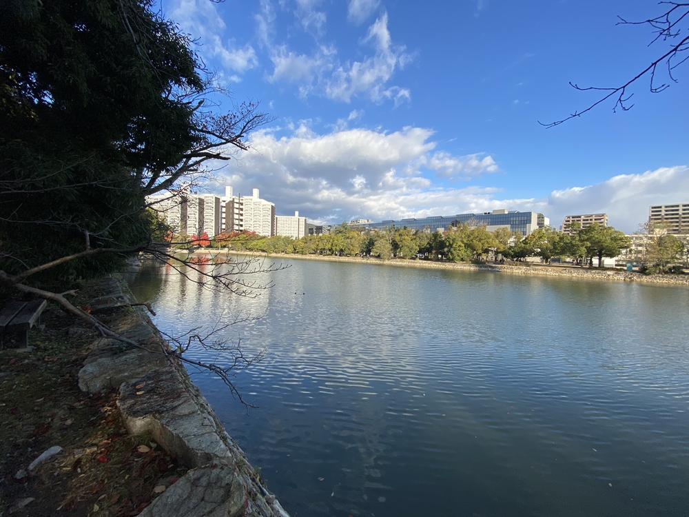 広島ラン（出張時の朝ランにピッタリ）の写真11