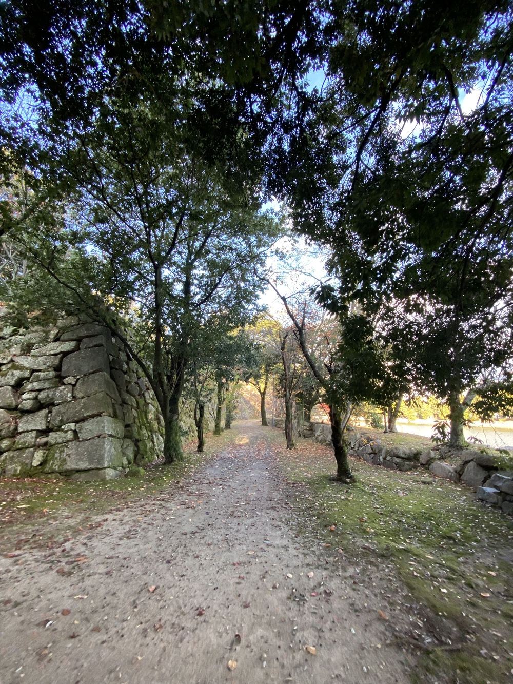 広島ラン（出張時の朝ランにピッタリ）の写真12