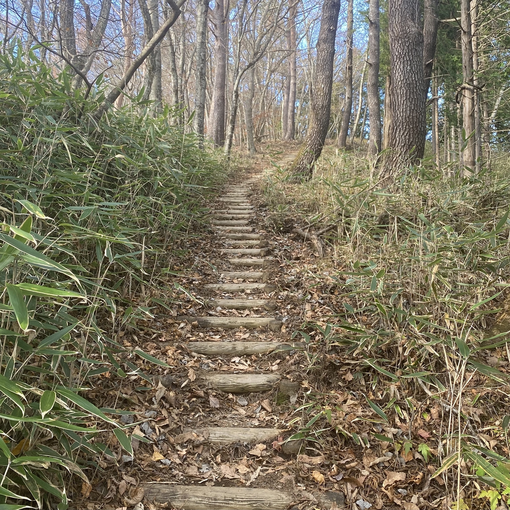 トレイル・ハイキングしながらの富士山の写真4