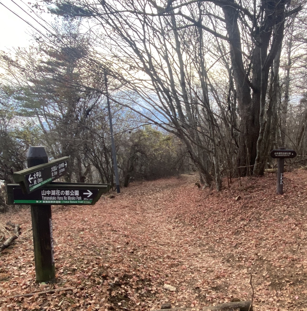 トレイル・ハイキングしながらの富士山の写真8