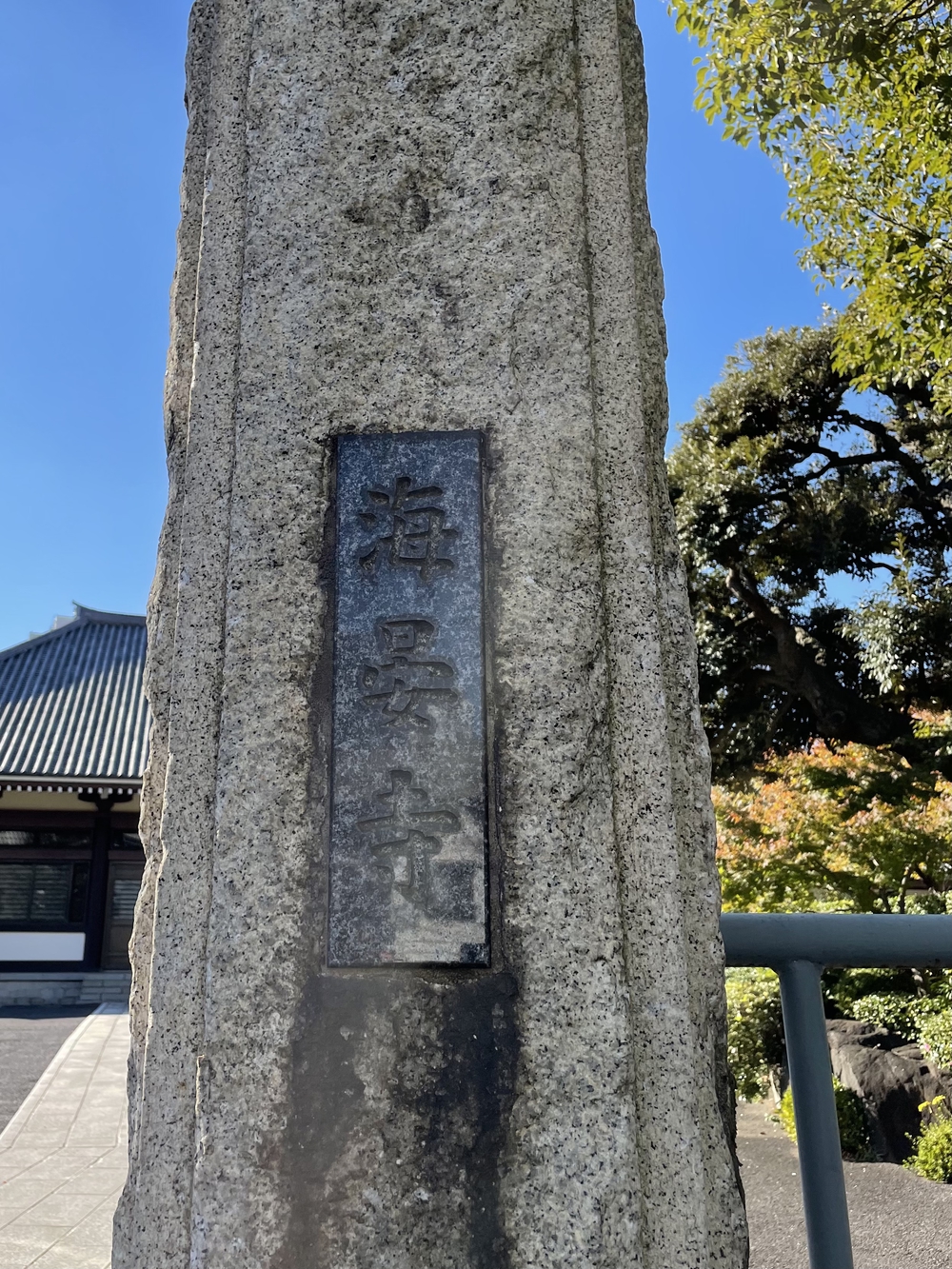 歌川広重と共にRUN 大井ふ頭の写真4