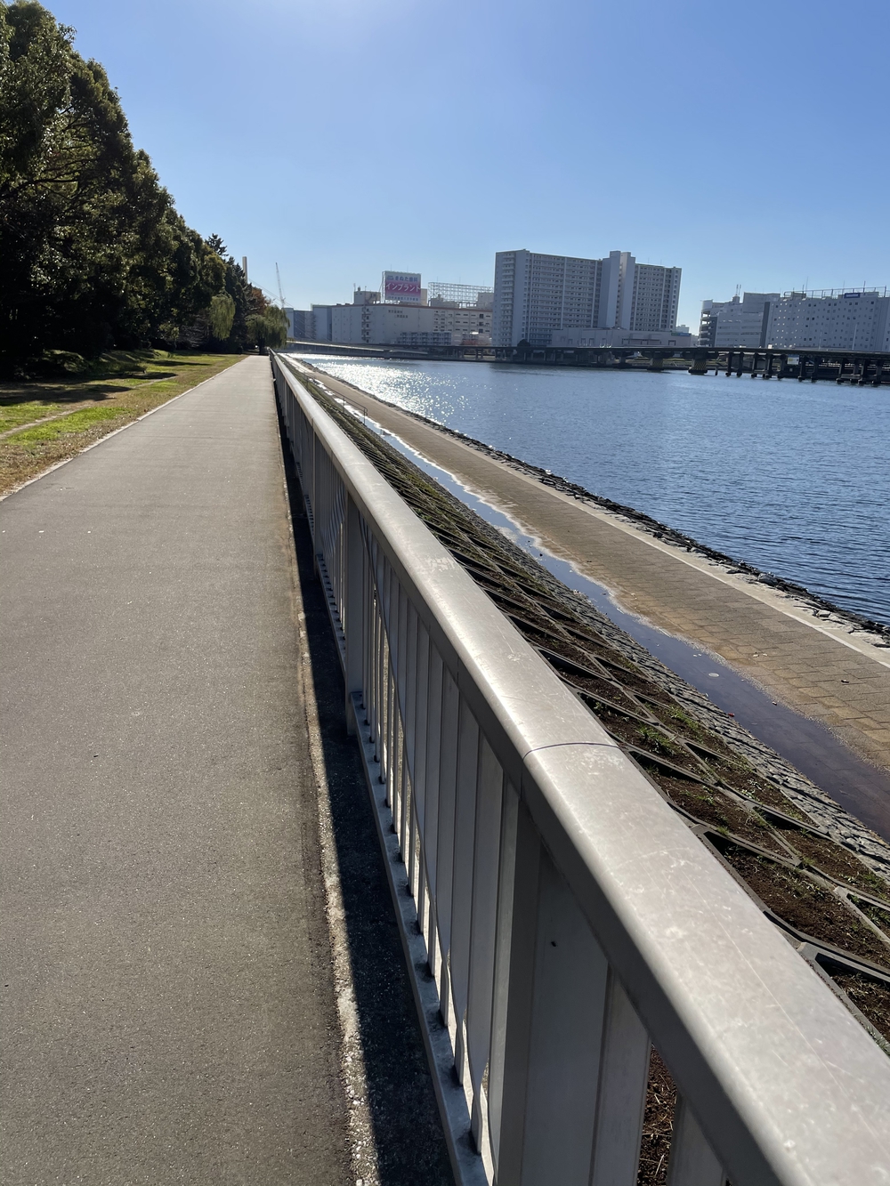 歌川広重と共にRUN 大井ふ頭の写真5