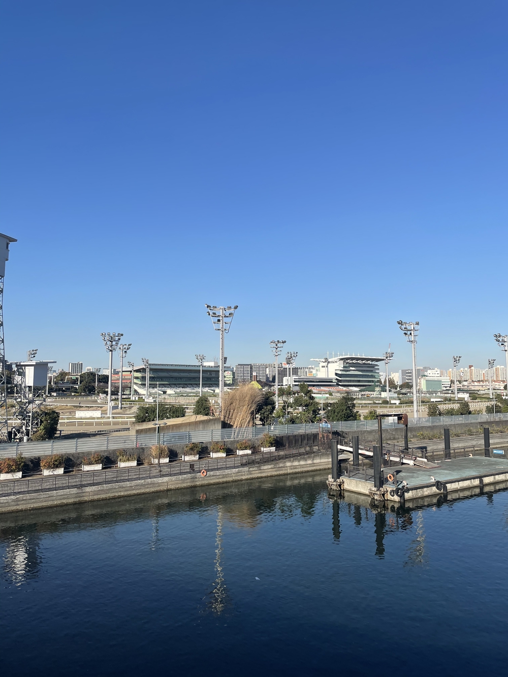 歌川広重と共にRUN 大井ふ頭の写真6