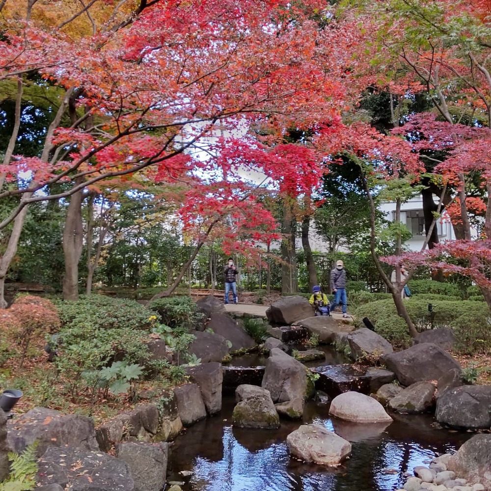 皇居〜大田黒公園　紅葉Run！の写真6