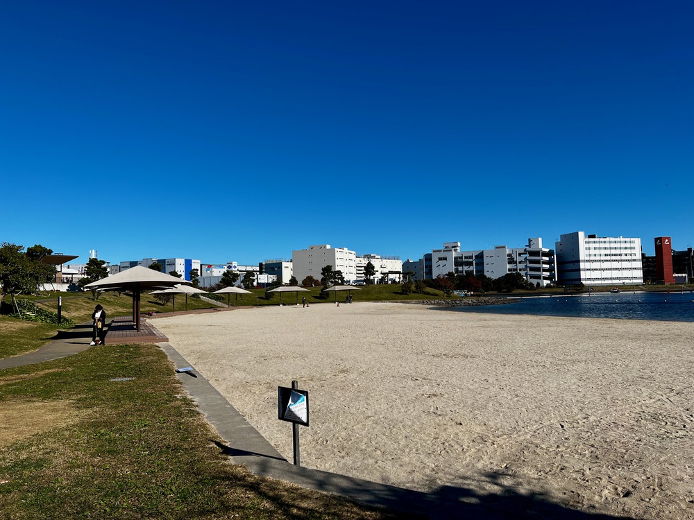 呑川水門から大森ふるさとの浜辺周回の写真3