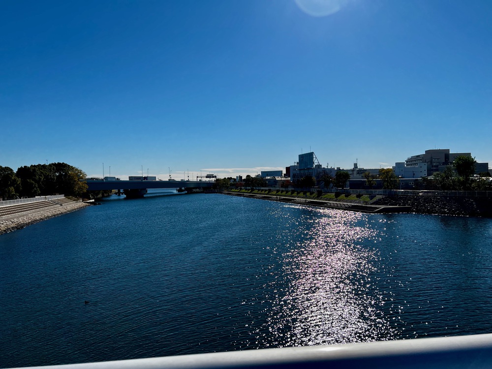 呑川水門から大森ふるさとの浜辺周回の写真4