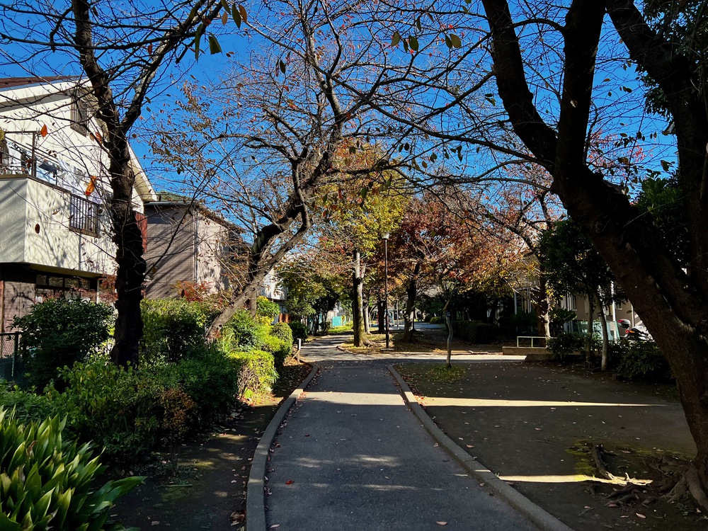 呑川水門から大森ふるさとの浜辺周回の写真6