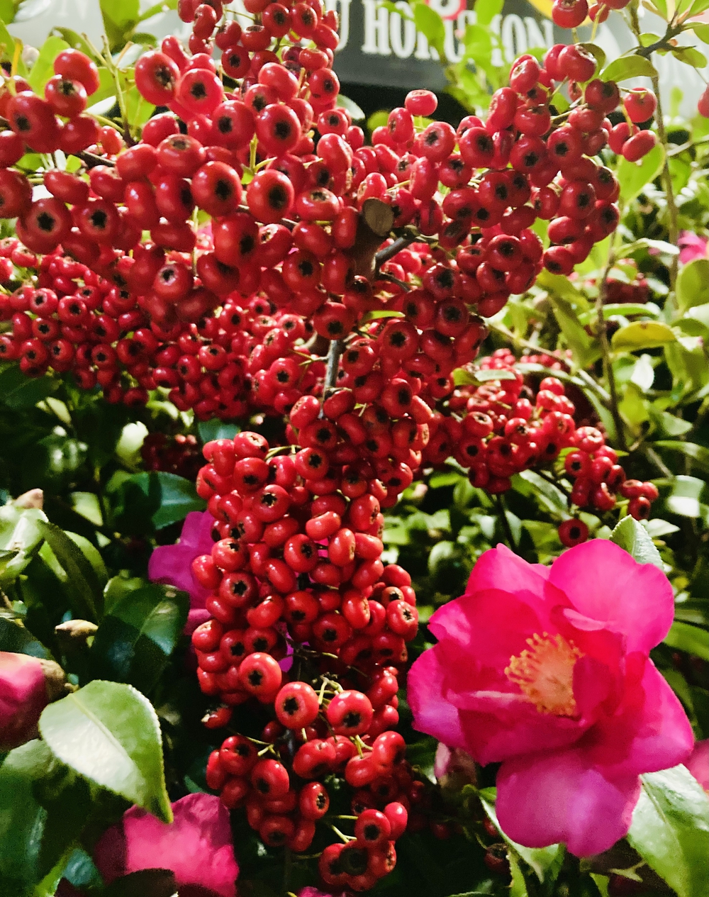 美女木〜西浦和　17号直線コースの写真3