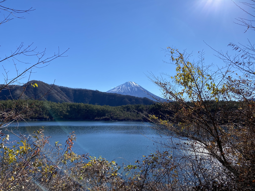 富士山マラソン2021の写真13
