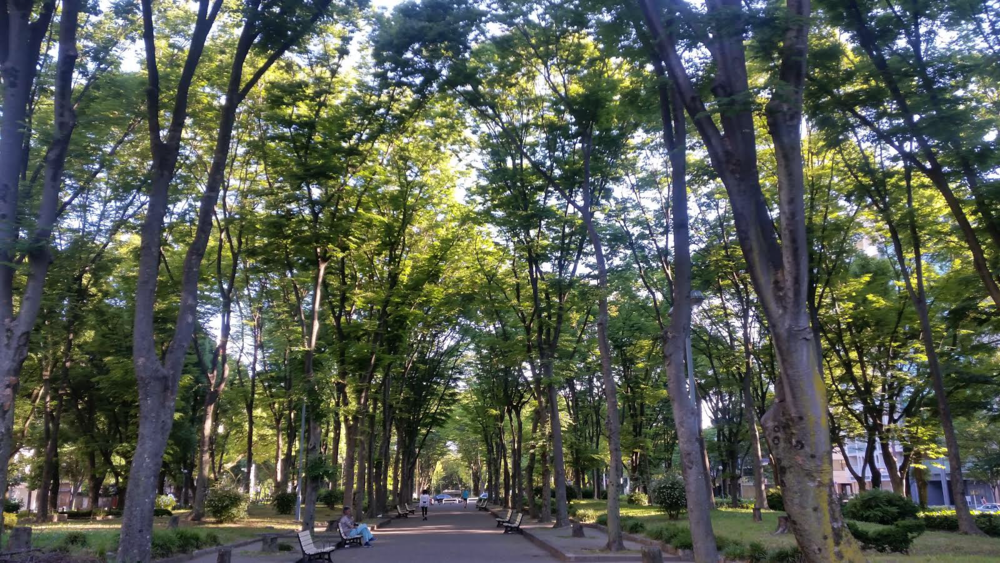 【出張朝ラン】初夏の気持ち良い空気を吸って名古屋周回10kmの写真3