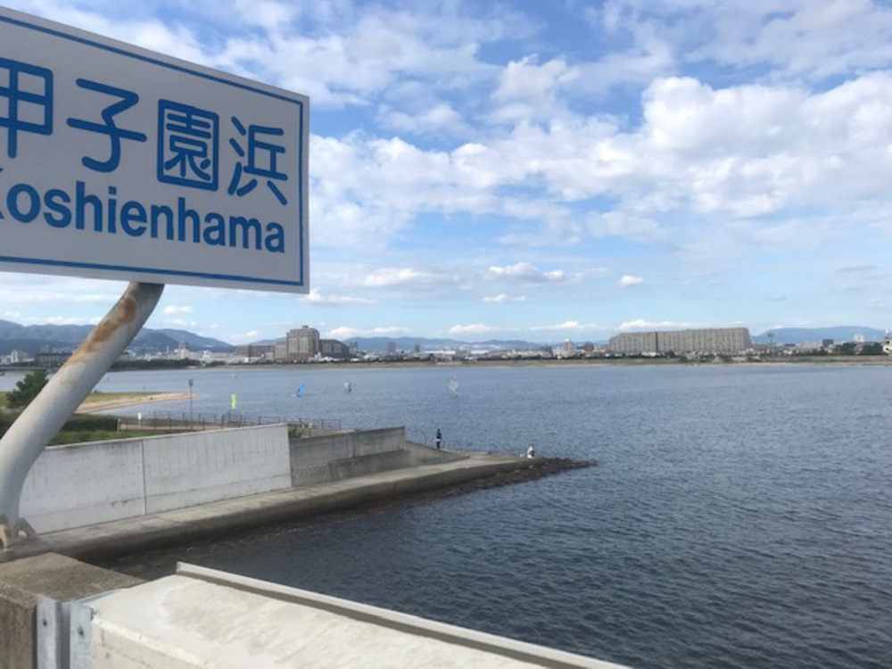 阪神なぎさ周回ラン　約24ｋｍの写真3