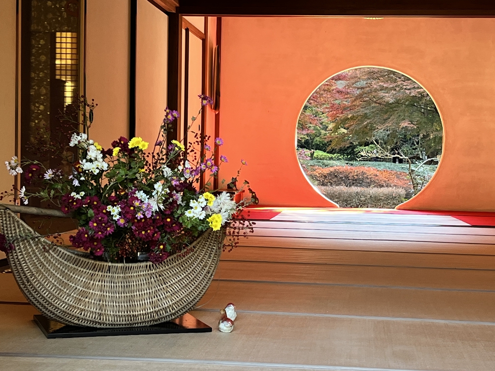 ぐるっと鎌倉20K〜2021紅葉シーズンの写真7