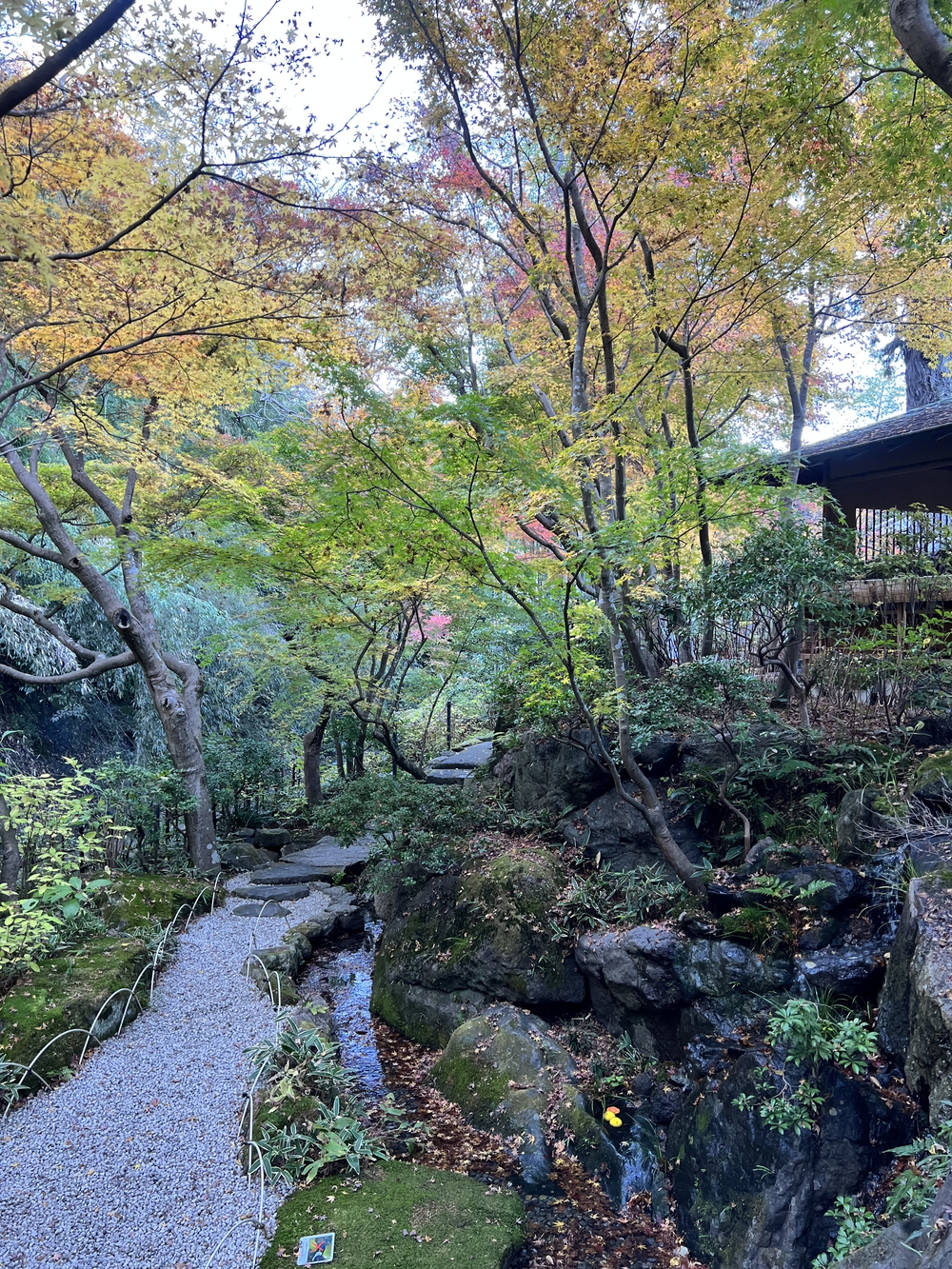ぐるっと鎌倉20K〜2021紅葉シーズンの写真14