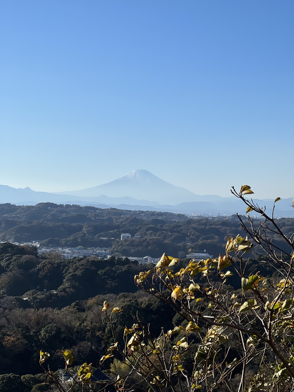 ぐるっと鎌倉20K〜2021紅葉シーズンの写真17