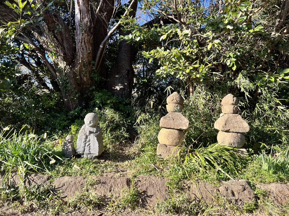 ぐるっと鎌倉20K〜2021紅葉シーズンの写真18