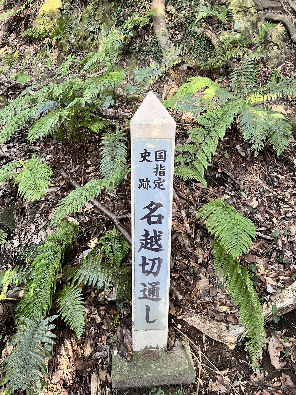 ぐるっと鎌倉20K〜2021紅葉シーズンの写真19