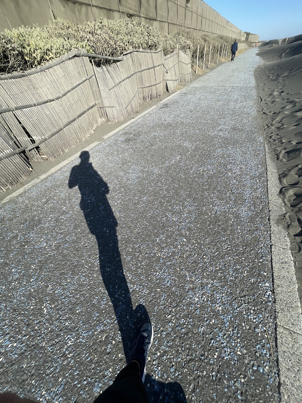 茅ヶ崎から海辺を走るルートの写真3