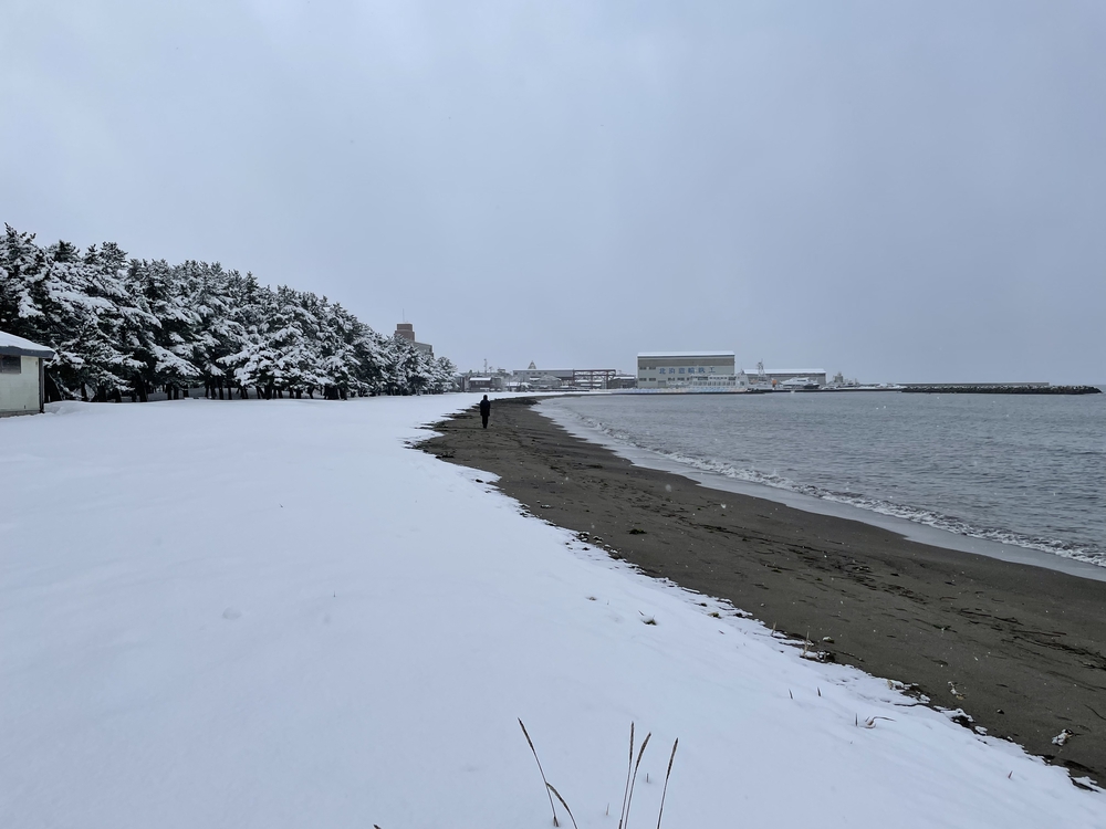 冬の堤川〜合浦公園の写真3