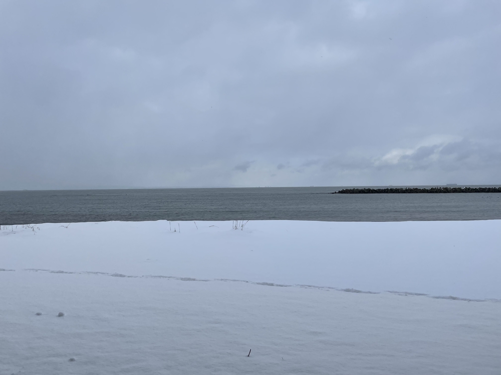 冬の堤川〜合浦公園の写真4