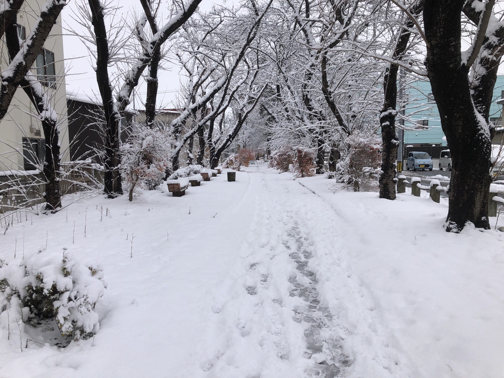 冬の堤川〜合浦公園の写真5