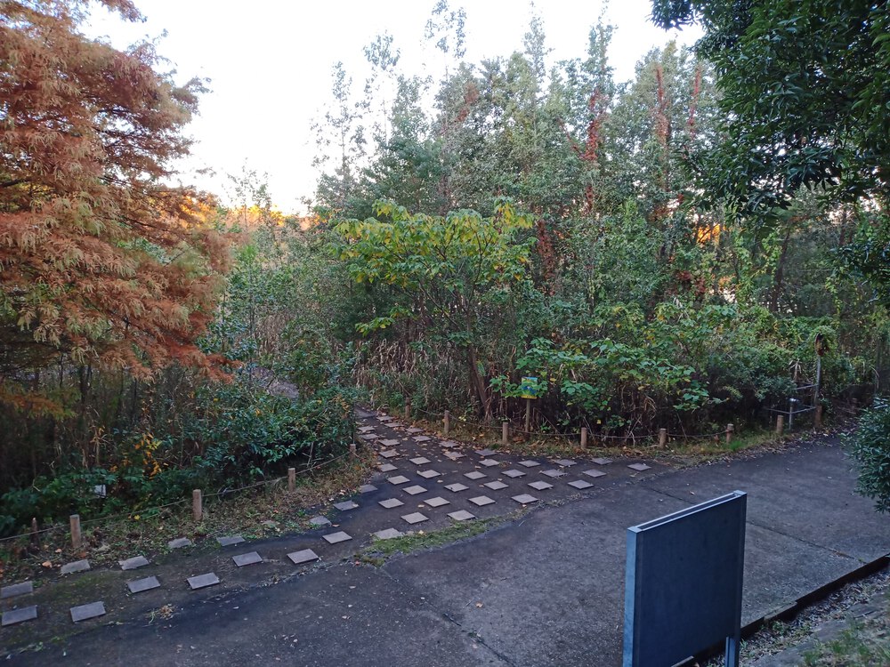 千葉県　柏の葉公園RUNの写真4