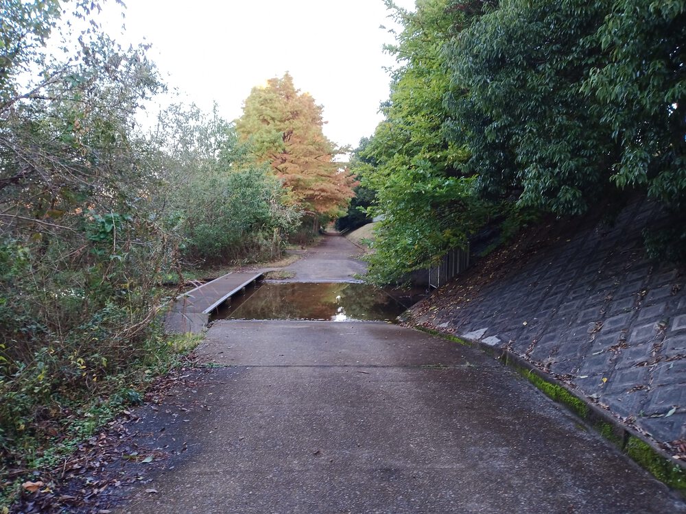 千葉県　柏の葉公園RUNの写真6