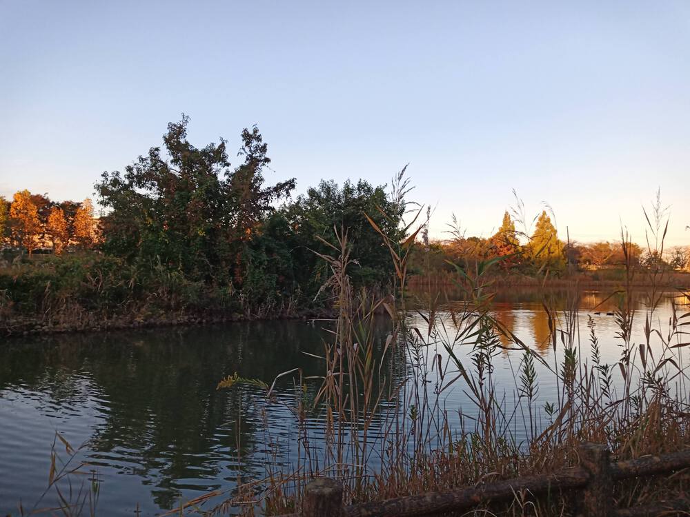 千葉県　柏の葉公園RUNの写真7