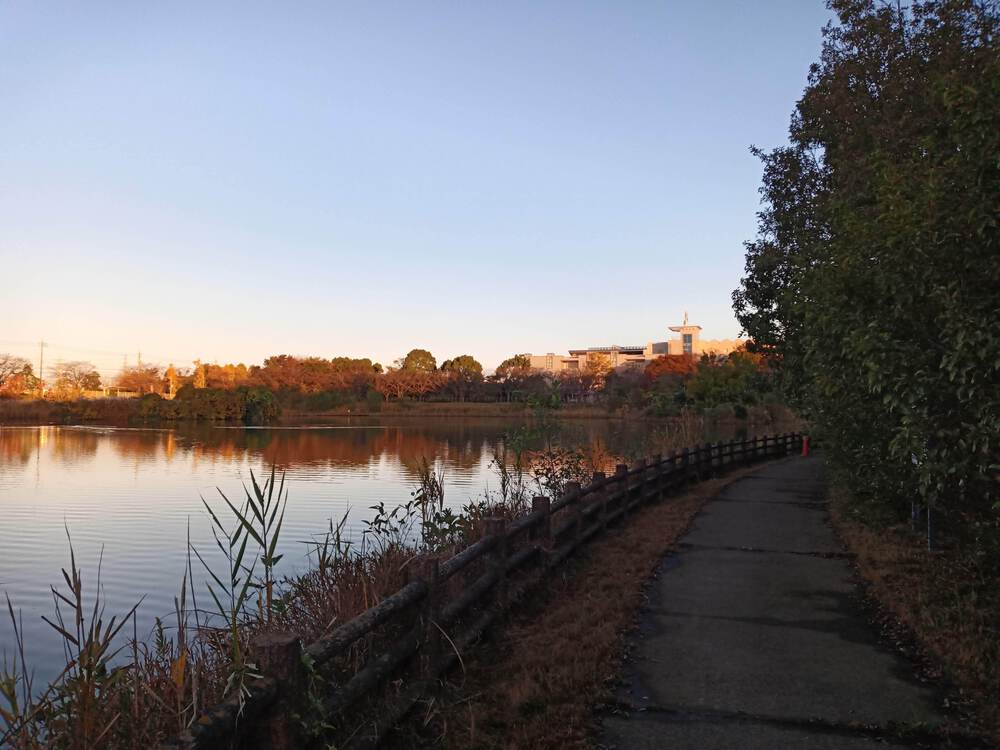 千葉県　柏の葉公園RUNの写真8