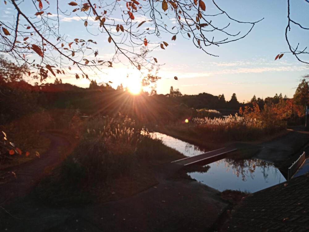 千葉県　柏の葉公園RUNの写真10