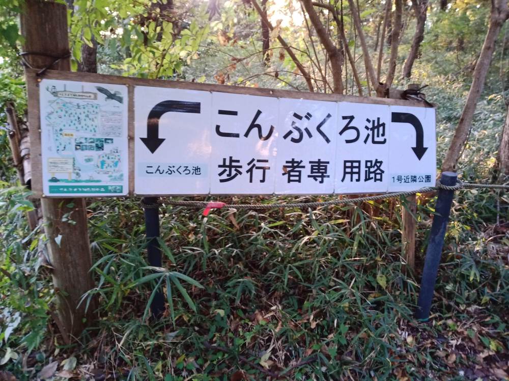 千葉県　柏の葉公園RUNの写真12