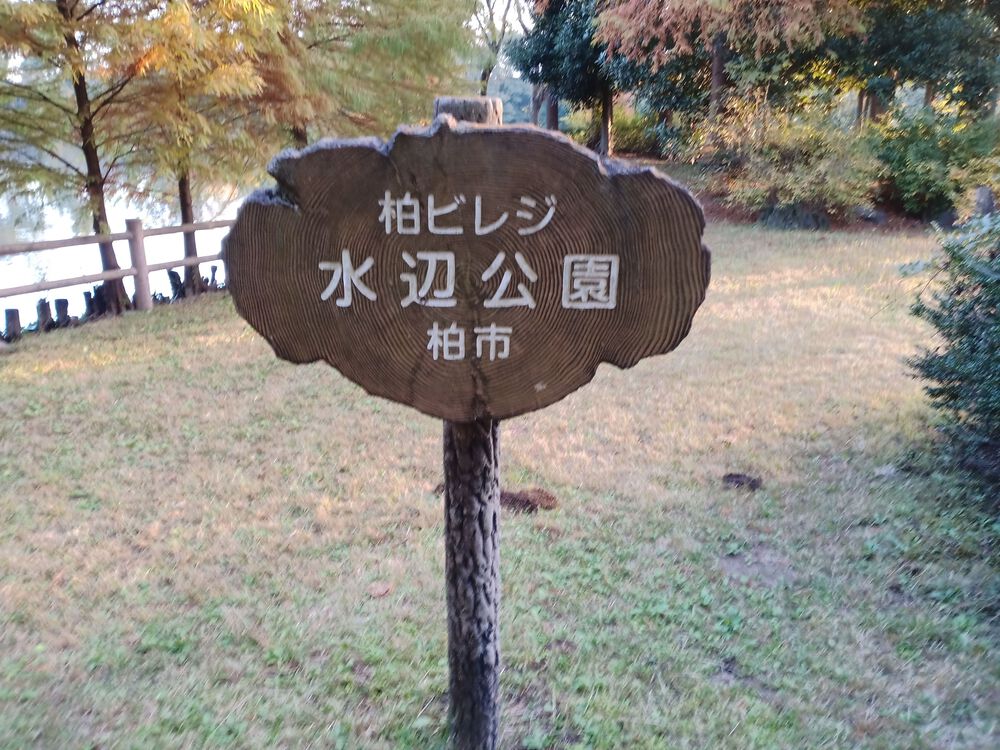 千葉県　柏の葉　柏ビレジ水辺公園の写真3