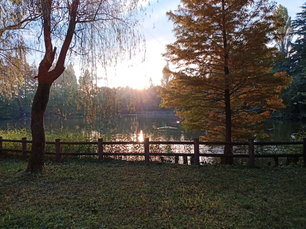 千葉県　柏の葉　柏ビレジ水辺公園の写真4