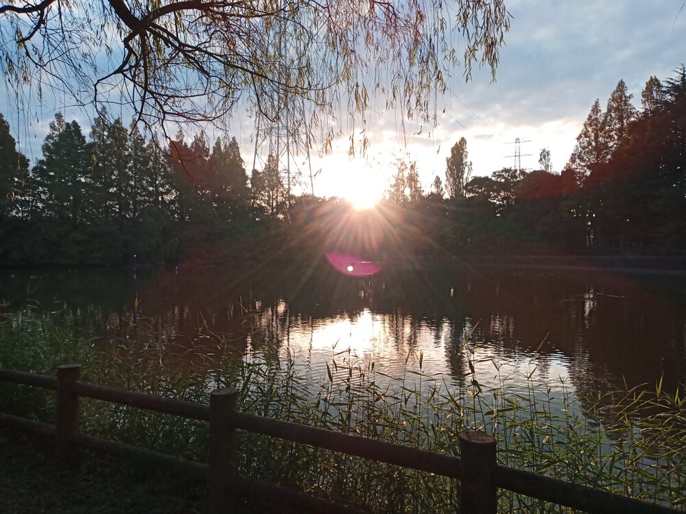 千葉県　柏の葉　柏ビレジ水辺公園の写真5